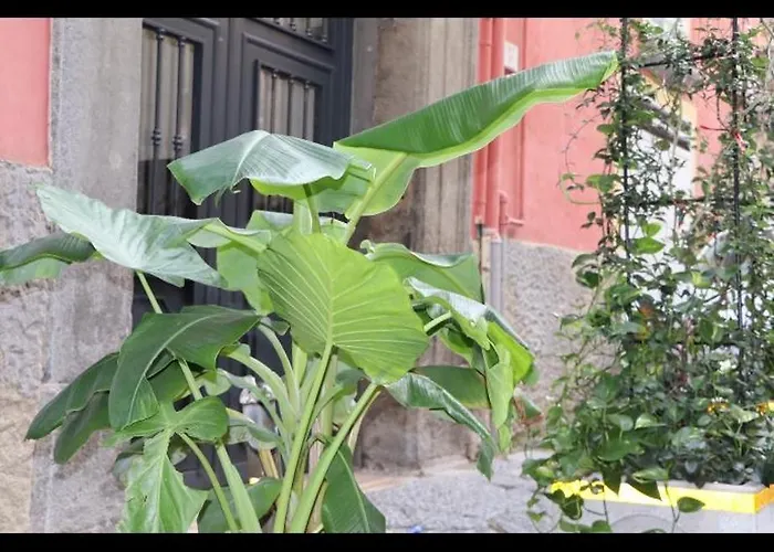 Barbaro Apartment Centro di Napoli